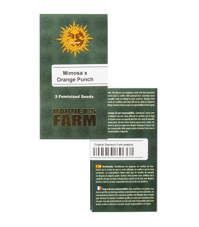 Mimosa X Orange Punch fem (Barney's Farm) — изображение 2