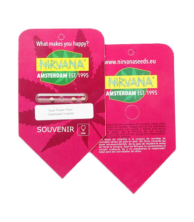 Семена сорта Pure Power Plant fem (Nirvana Seeds) — изображение 5