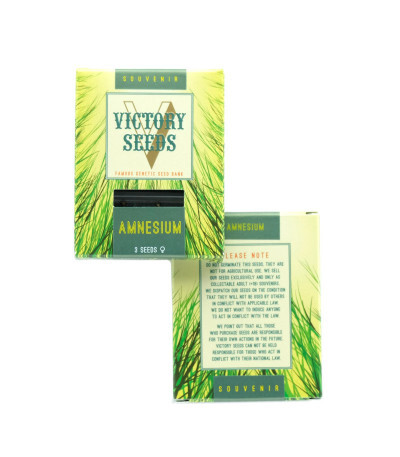 Amnesium fem (Victory Seeds) семена конопли — изображение 2