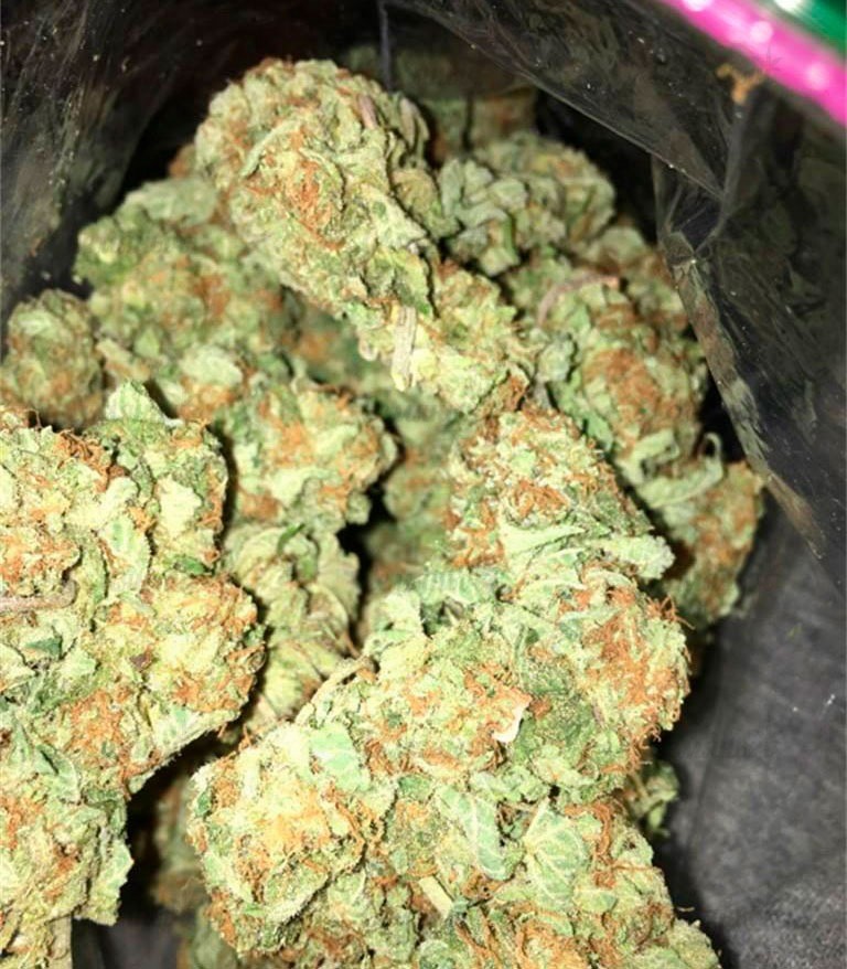 Семена сорта Afghan Cow fem (Dr. Krippling Seeds) — изображение 3
