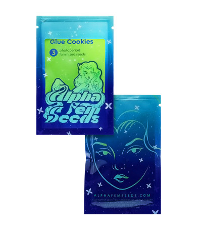 Glue Cookies fem (AlphaFem Seeds) семена конопли — изображение 2