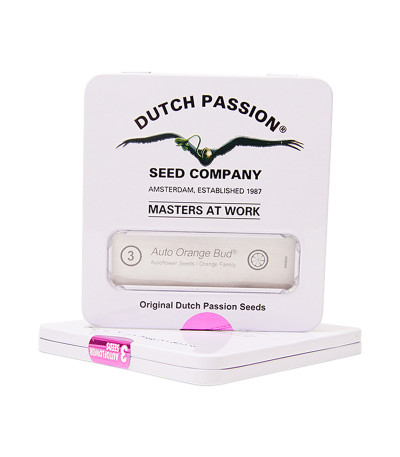 Auto Orange Bud fem (Dutch Passion) семена конопли — изображение 2