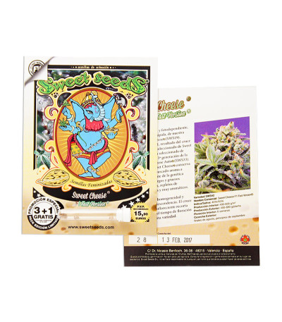 Sweet Cheese F1 Fast Version fem (Sweet Seeds) семена конопли — изображение 2