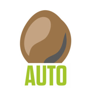 Автоцветущие