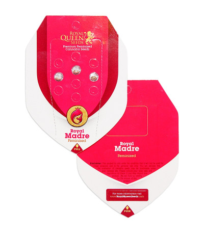 Mother Gorilla (Royal Madre) fem (RQS) семена конопли — изображение 2