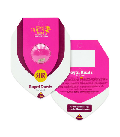 Royal Runtz fem (RQS) семена конопли — изображение 2