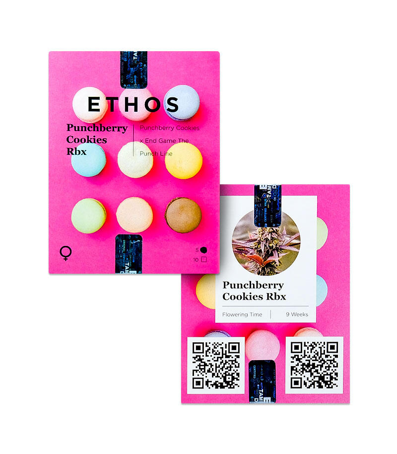 Punchberry Cookies RBX fem (Ethos Genetics) семена конопли